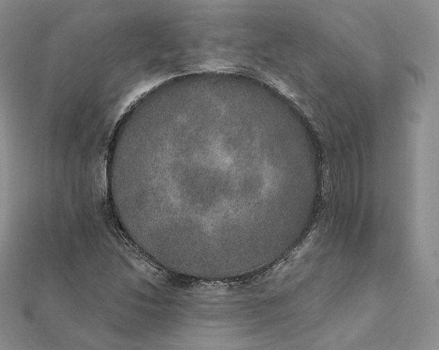 X0000111801214200908061151