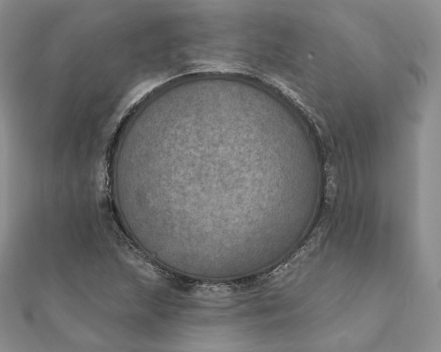 X0000111801215200908061151