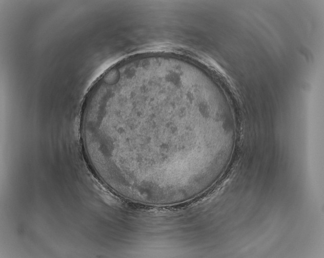 X0000111801216200908061151