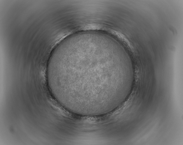 X0000111801217200908061151