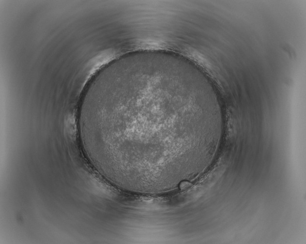 X0000111801218200908061151