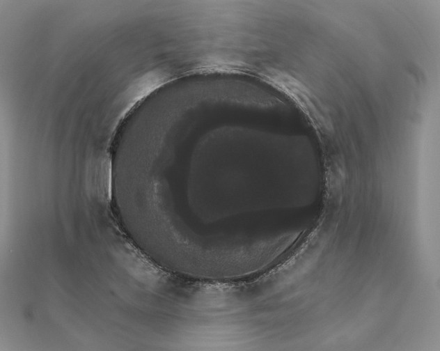 X0000111801219200908061151