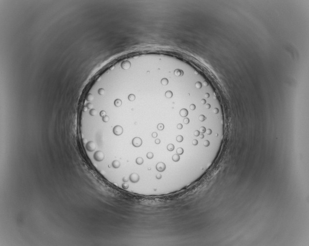 X0000111801220200908061151