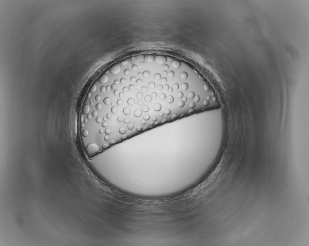 X0000111801221200908061151