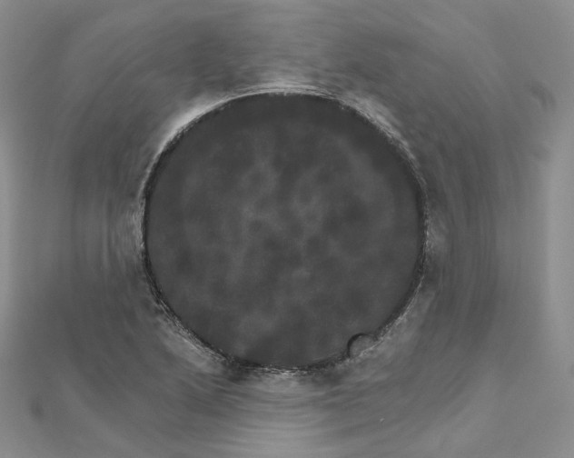 X0000111801222200908061151