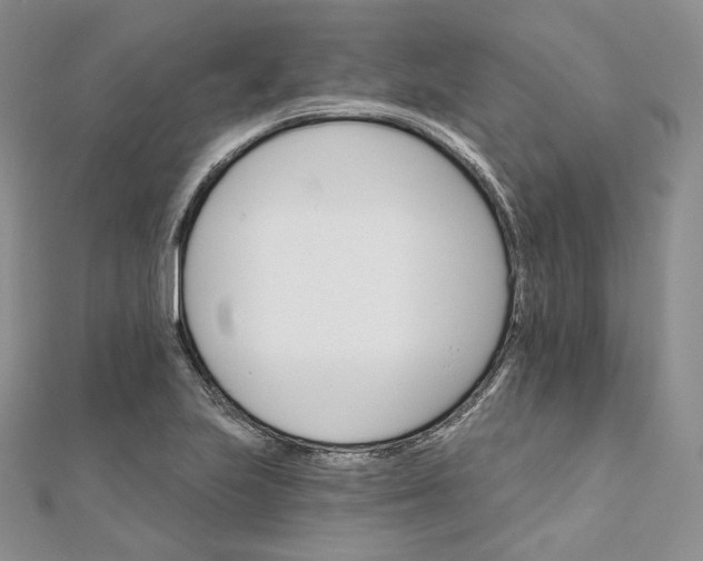 X0000111801223200908061151