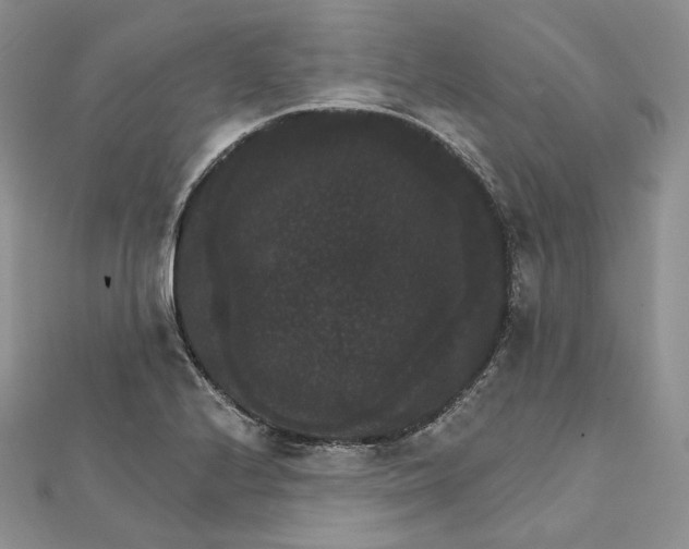 X0000111801224200908061151