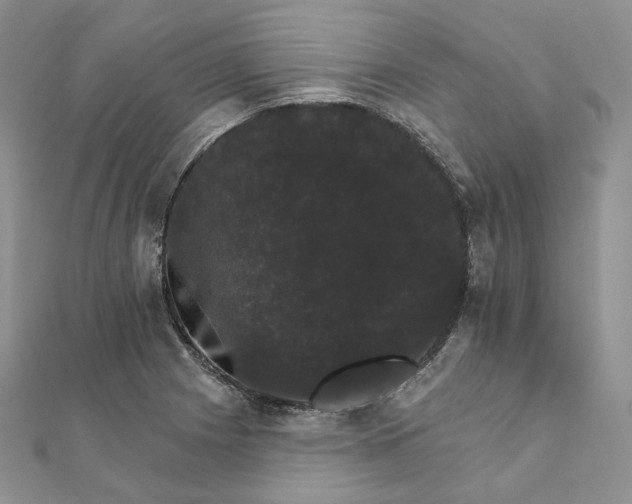 X0000111801225200908061151