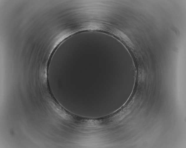 X0000111801226200908061151