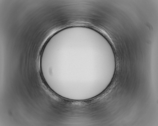 X0000111801227200908061151