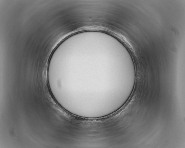 X0000111801228200908061151