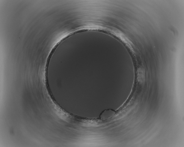 X0000111801229200908061151