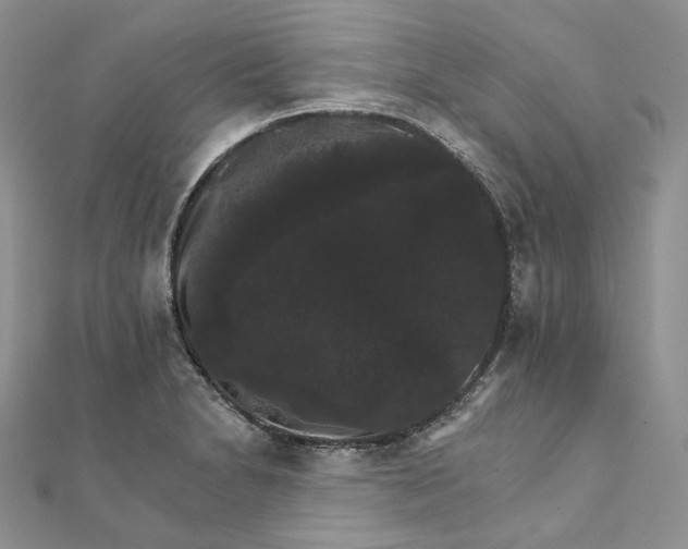 X0000111801230200908061151