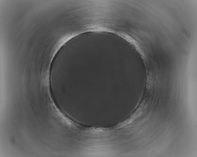 X0000111801231200908061151