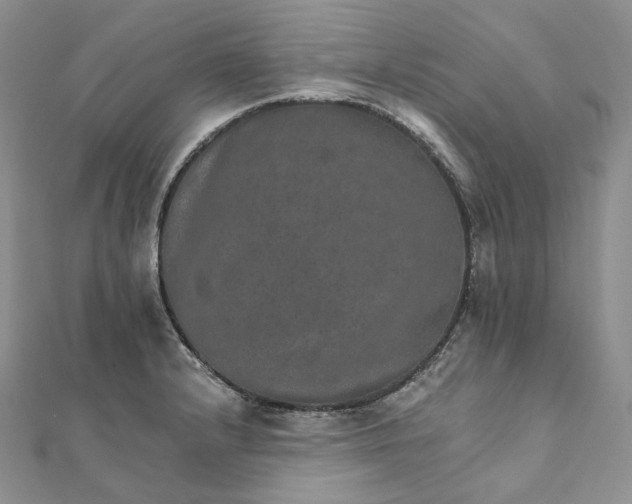 X0000111801232200908061151