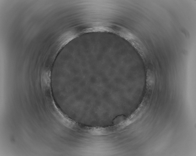 X0000111801233200908061151