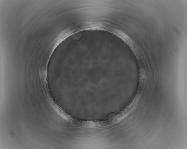 X0000111801234200908061151