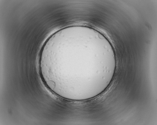 X0000111801235200908061151