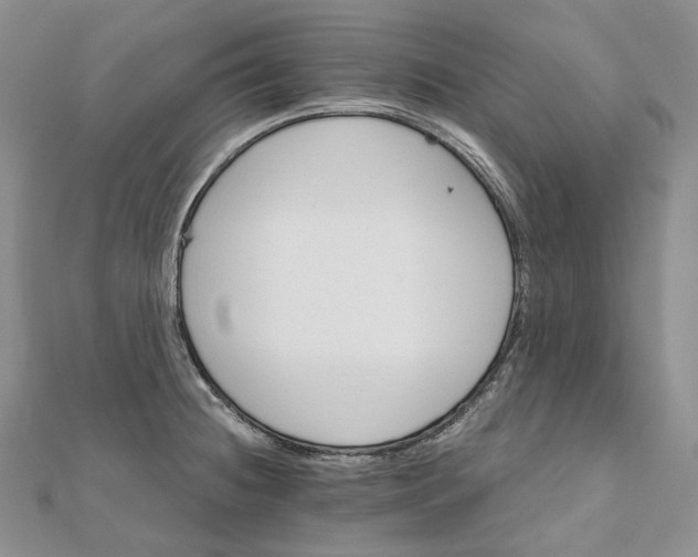 X0000111801236200908061151