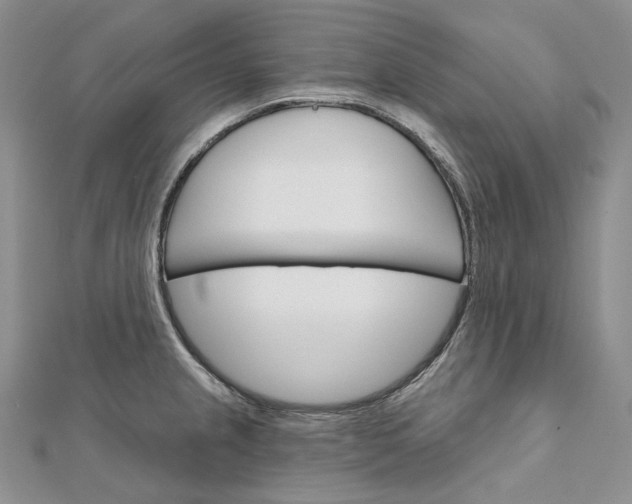 X0000111801237200908061151