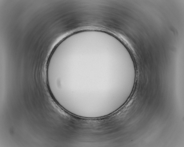 X0000111801238200908061151