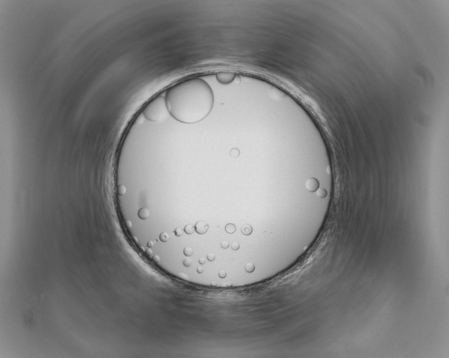 X0000111801239200908061151