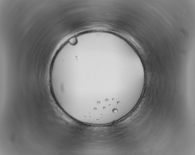 X0000111801240200908061151