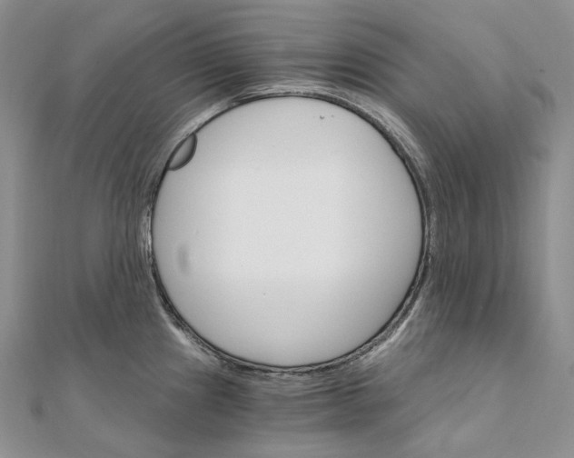 X0000111801241200908061151