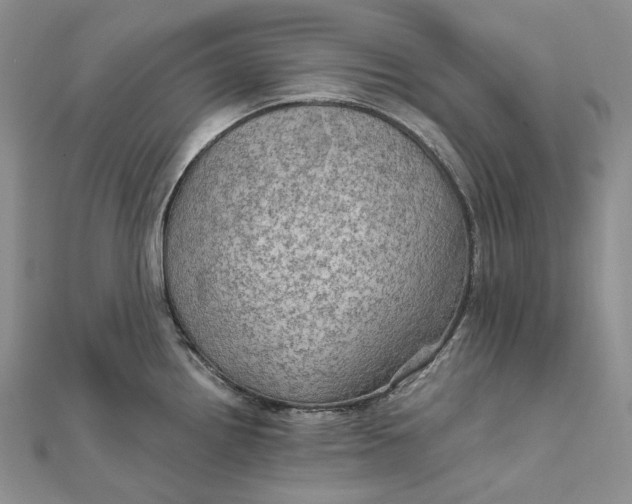 X0000111801242200908061151