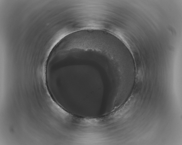 X0000111801243200908061151