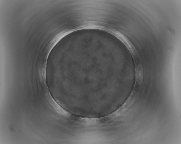 X0000111801244200908061151