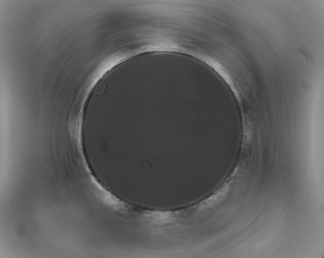 X0000111801245200908061151