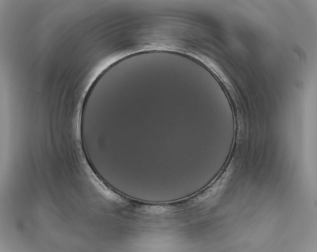 X0000111801246200908061151