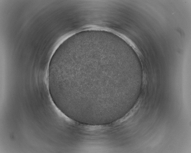 X0000111801247200908061151