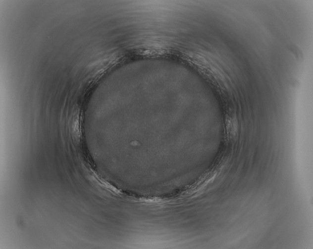 X0000111801250200908061151