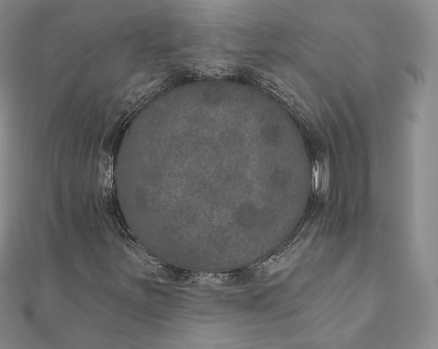X0000111801251200908061150