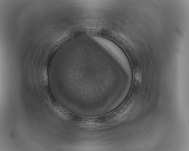 X0000111801252200908061150