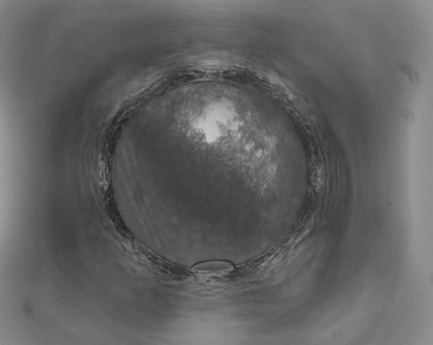 X0000111801253200908061150