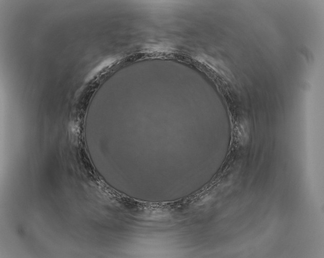 X0000111801254200908061150