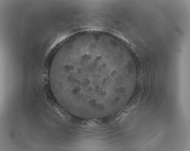 X0000111801255200908061150