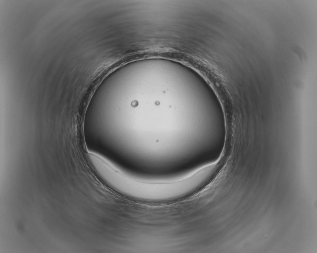X0000111801257200908061150