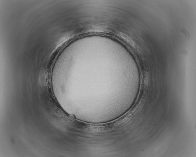 X0000111801258200908061150