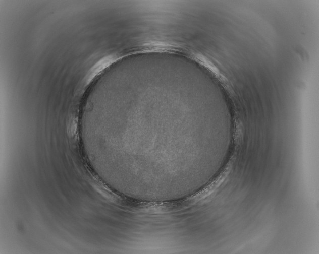 X0000111801259200908061150