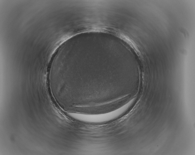 X0000111801260200908061150