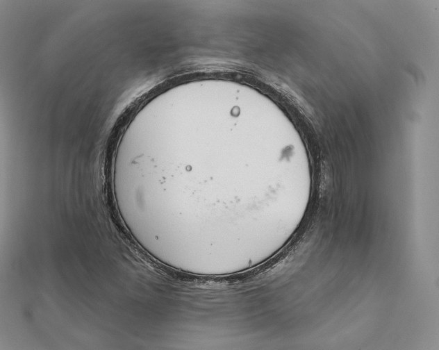 X0000111801261200908061150
