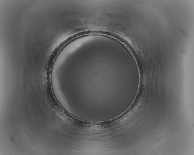 X0000111801263200908061150