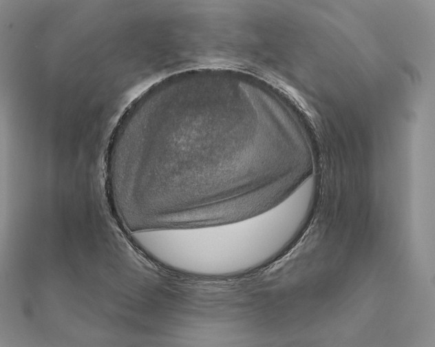 X0000111801264200908061150