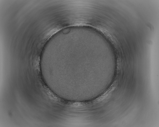 X0000111801265200908061150
