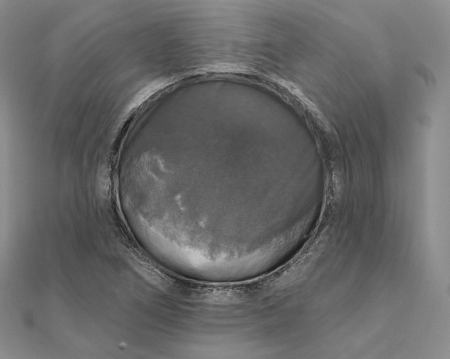 X0000111801266200908061150