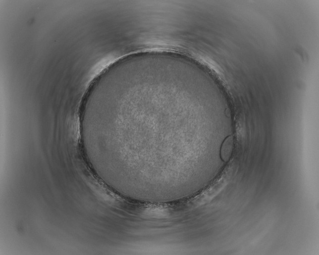 X0000111801267200908061150